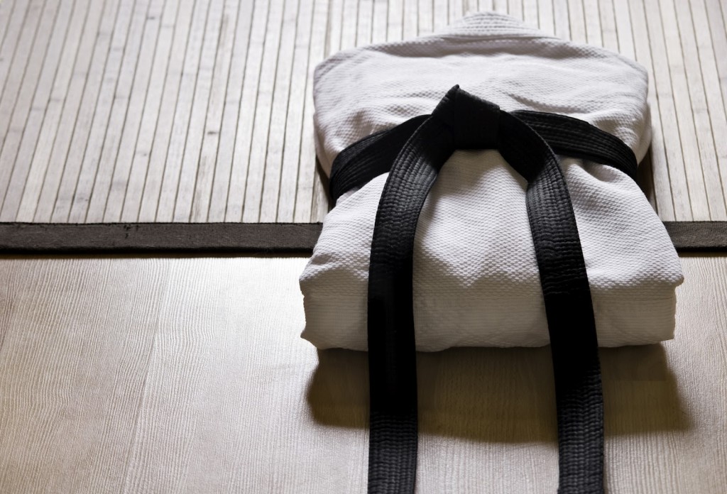 judo aplicat a la empresa cursos formacio 2