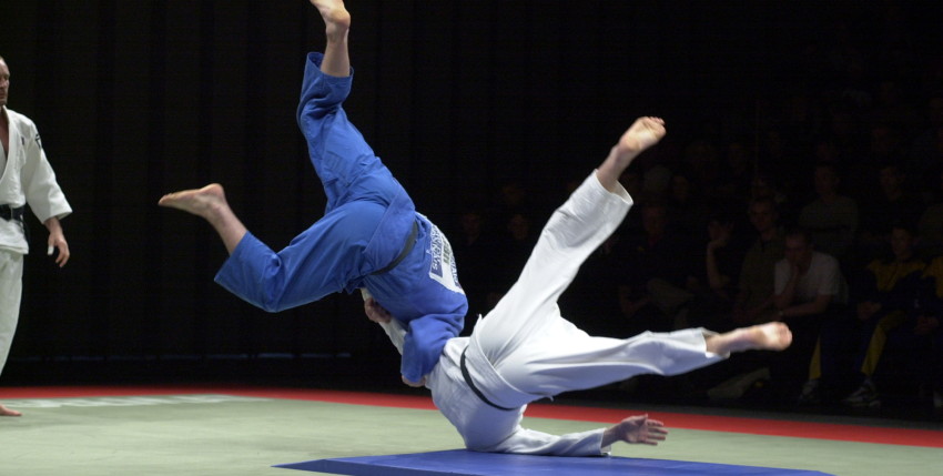 Aprèn a aplicar els principis del judo a l’empresa